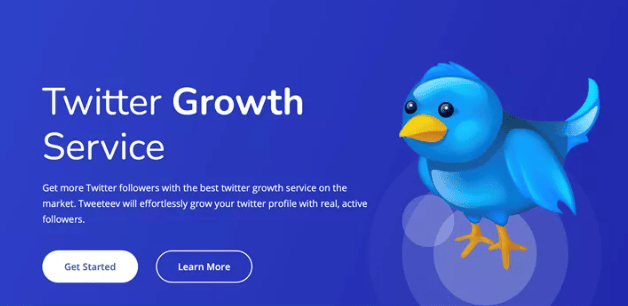 SEO expert in Bangladesh
